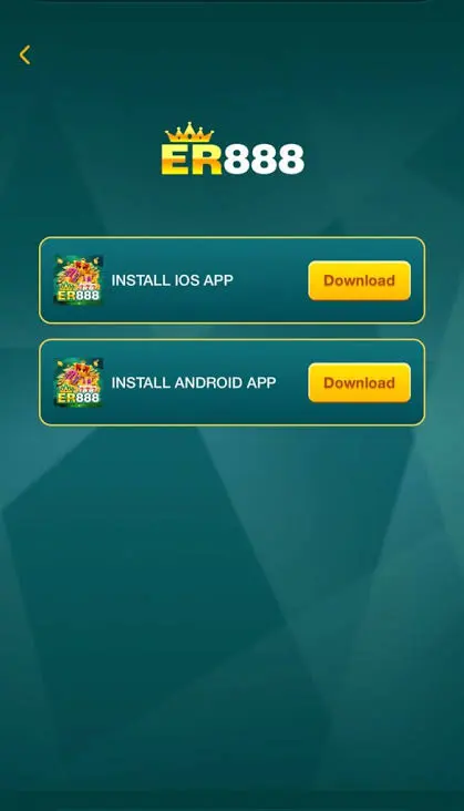 ER888 app installation screen